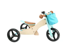 2-in-1 Training Trike & Balance Bike