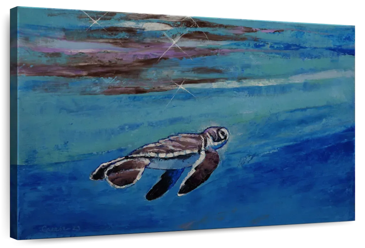 A Baby Sea Turtle Wall Art