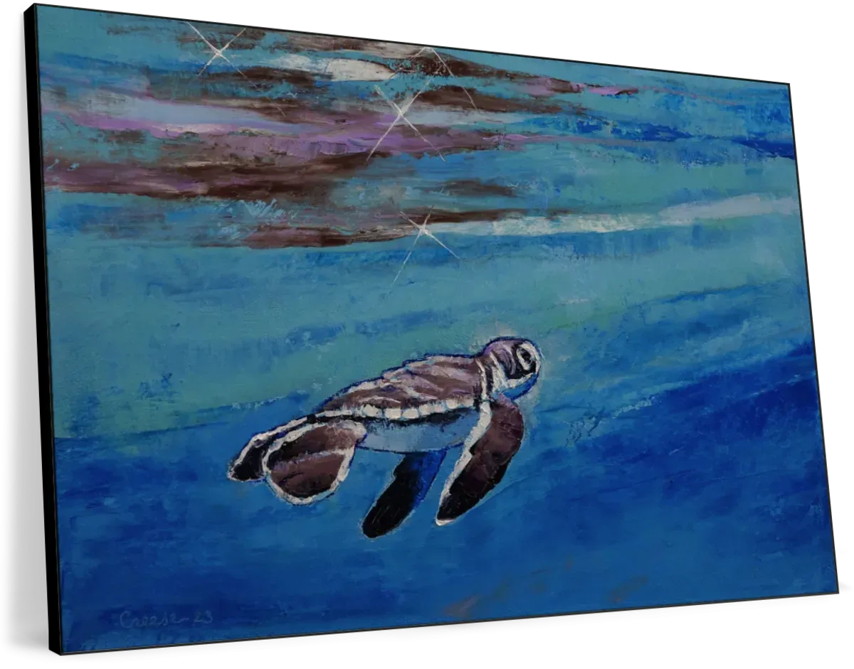 A Baby Sea Turtle Wall Art