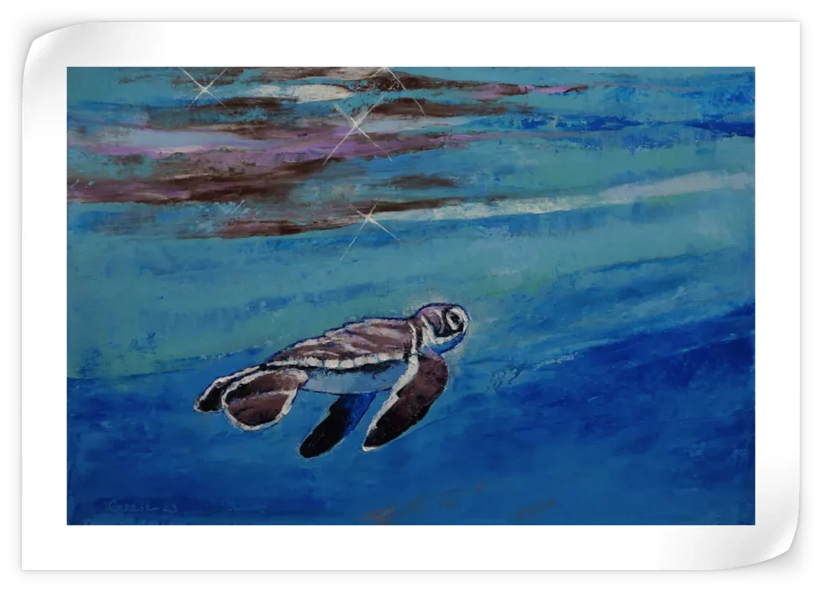 A Baby Sea Turtle Wall Art