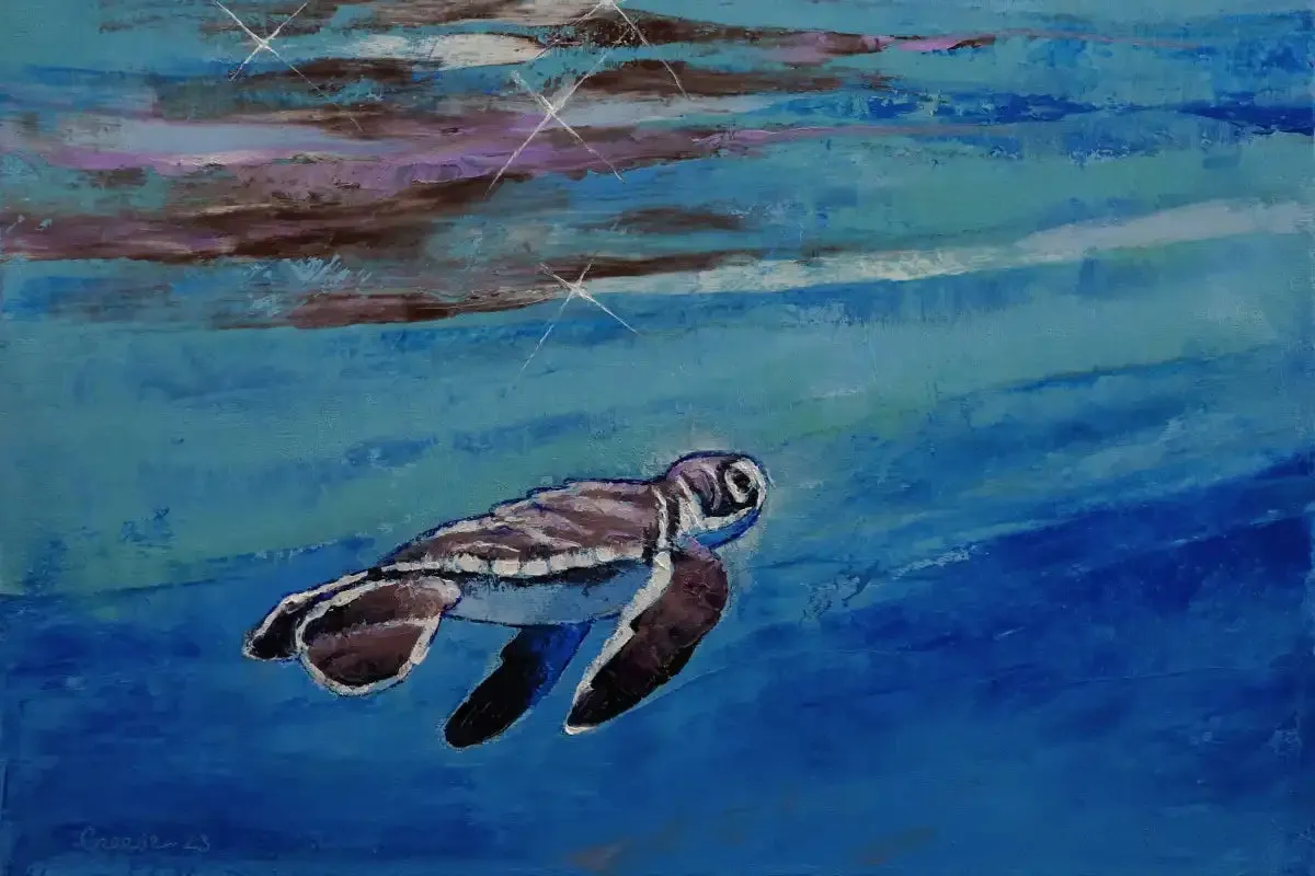 A Baby Sea Turtle Wall Art