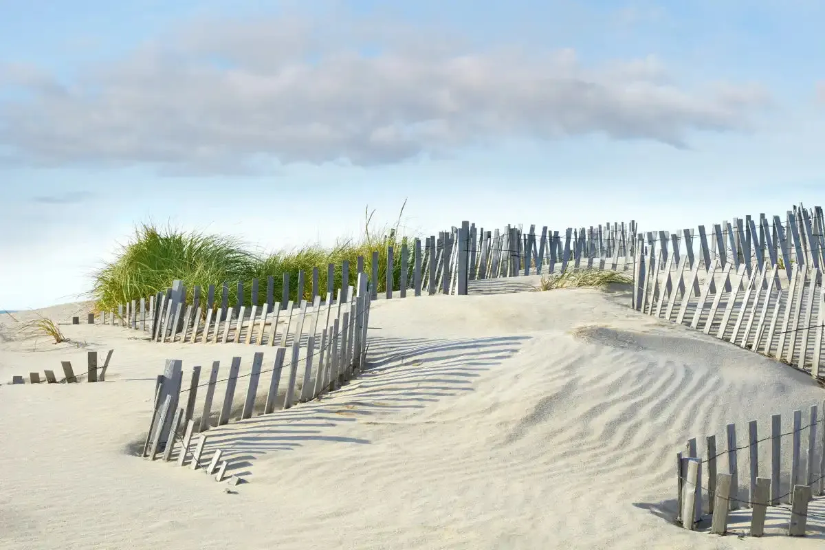 A Beachscape I Wall Art