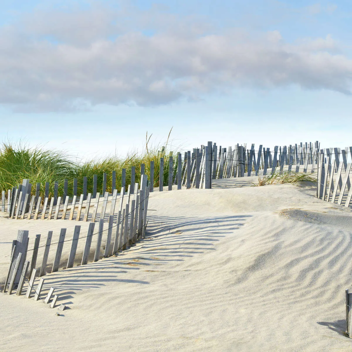 A Beachscape I Wall Art