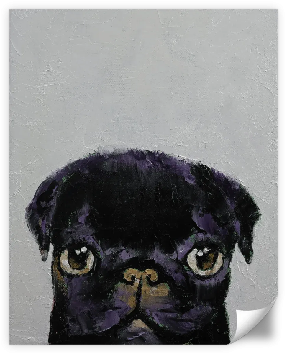 A Black Pug Wall Art