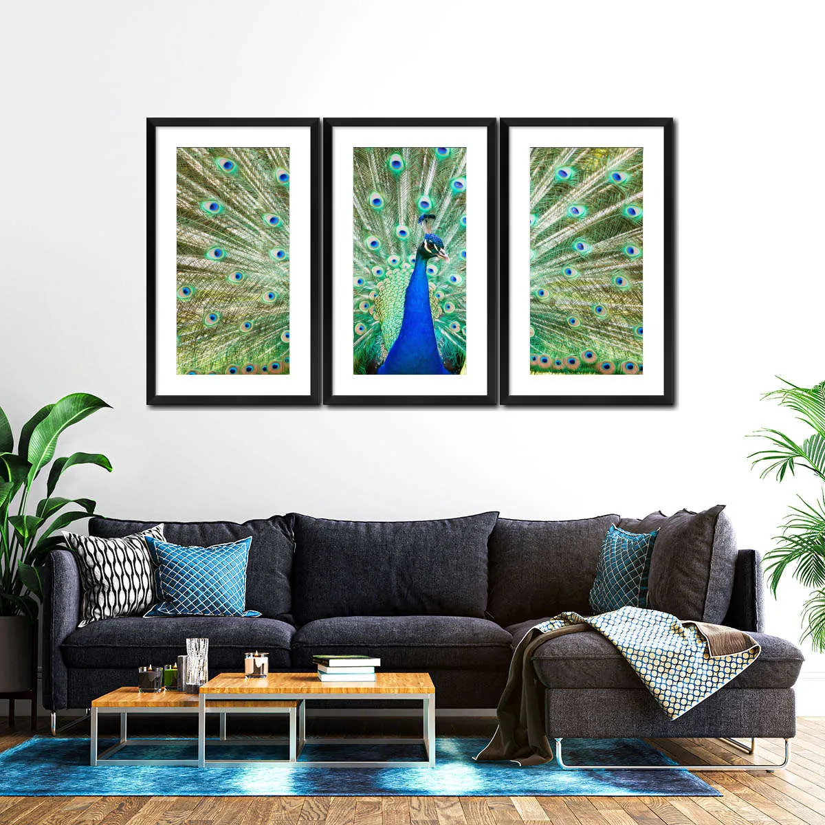 A Colorful Peacock Wall Art