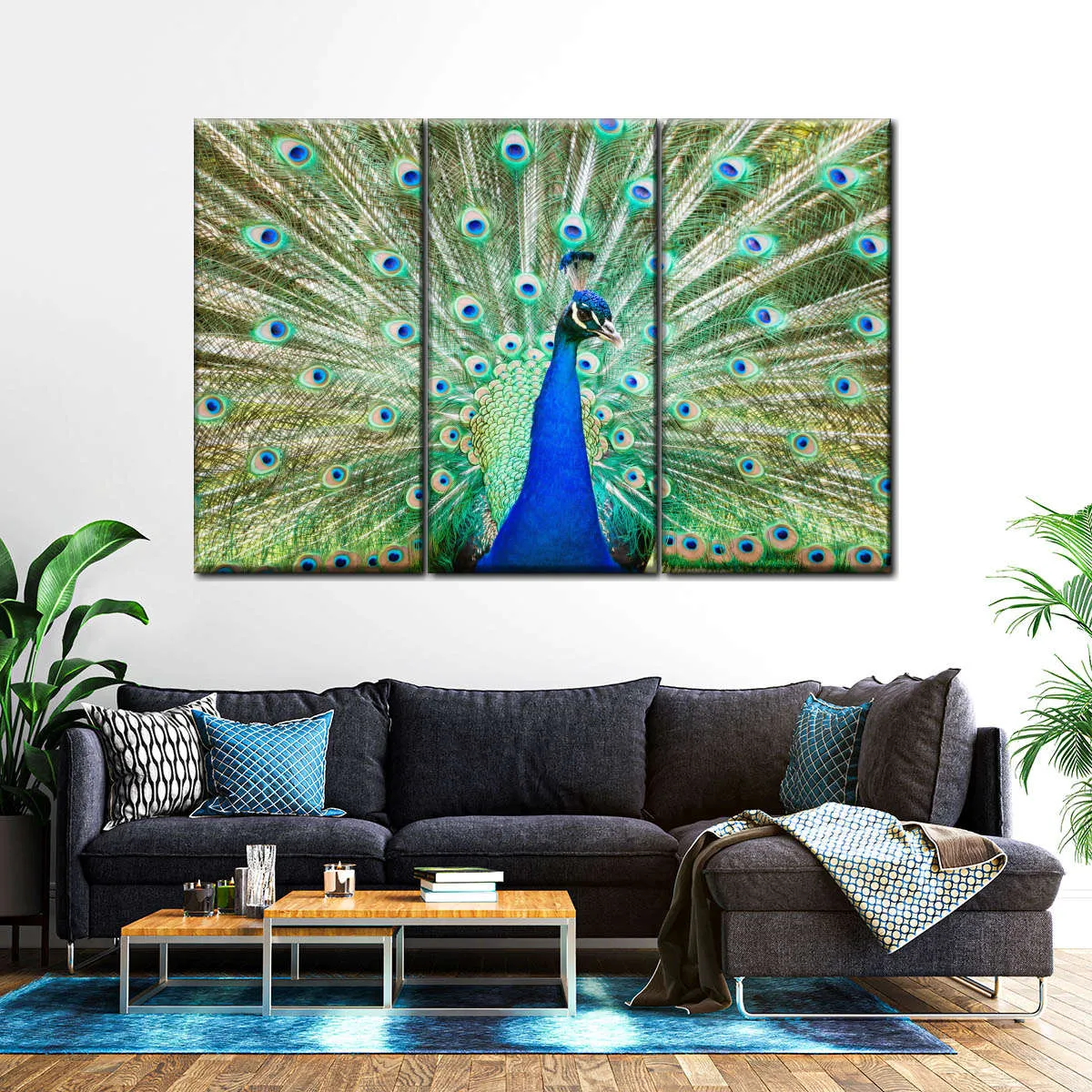 A Colorful Peacock Wall Art