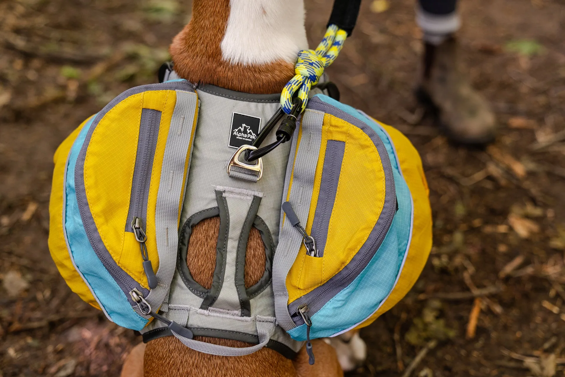 Adventurer Dog Pack (1-piece) - Wholesale