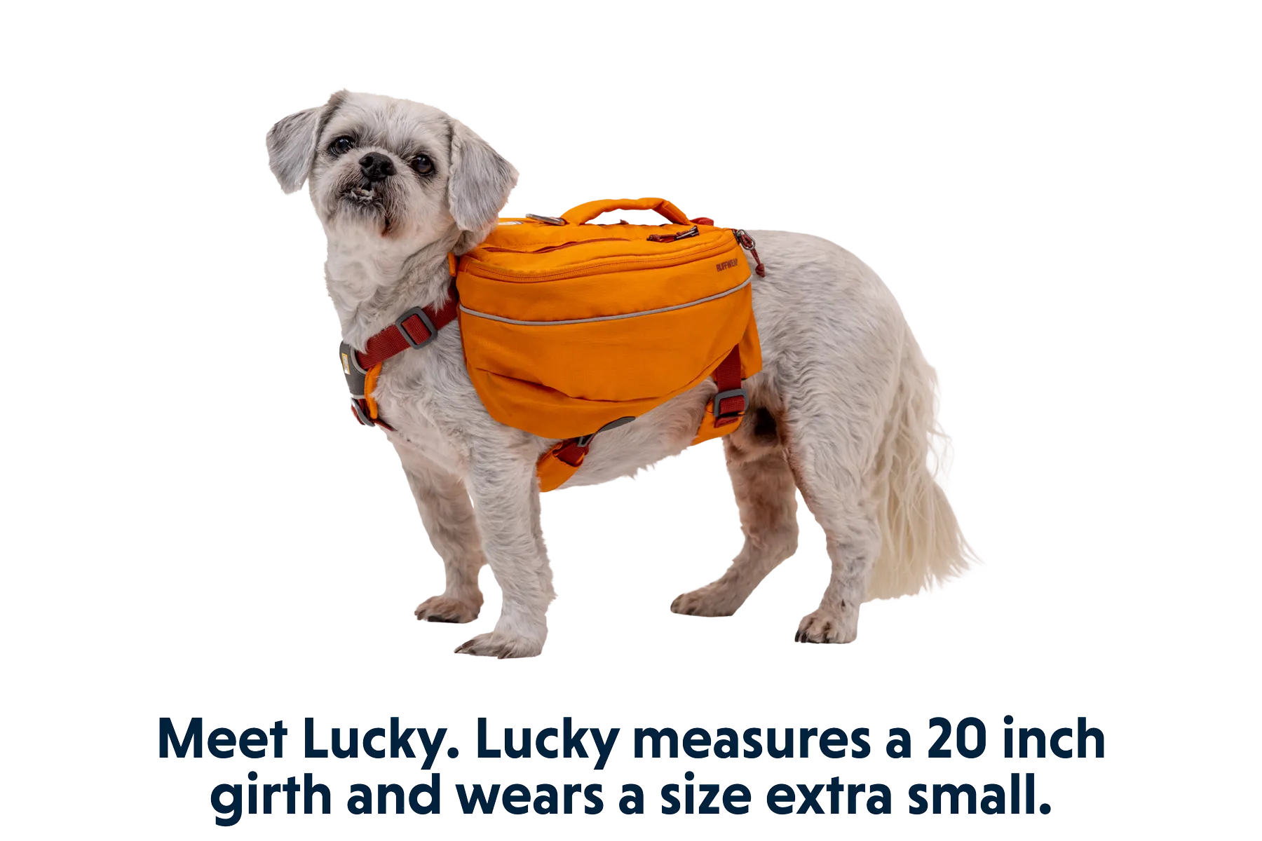 Approach™ Dog Backpack