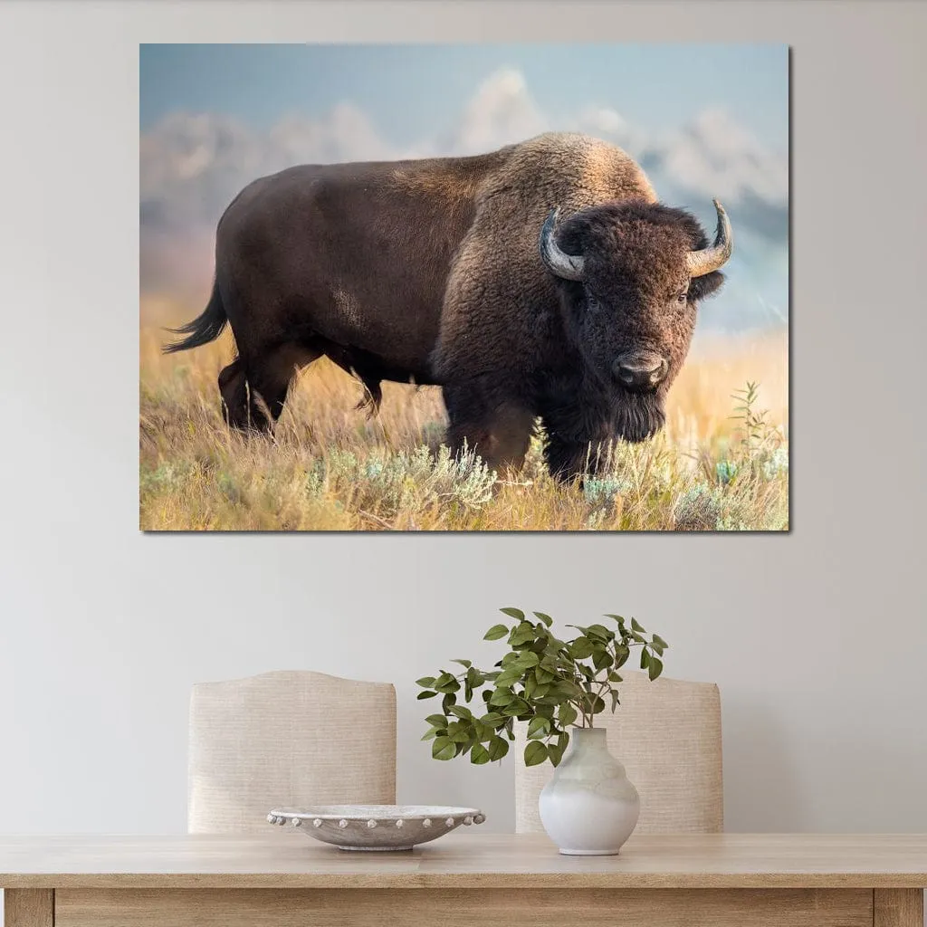 Bison 2 - Patsy Weingart