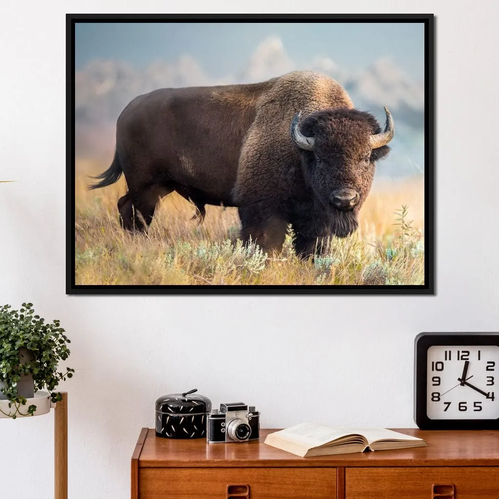 Bison 2 - Patsy Weingart