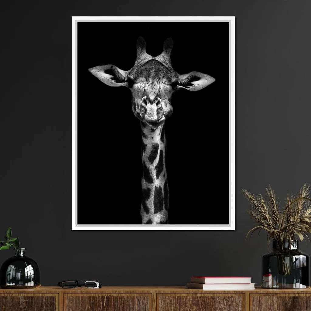 Black and White Giraffe