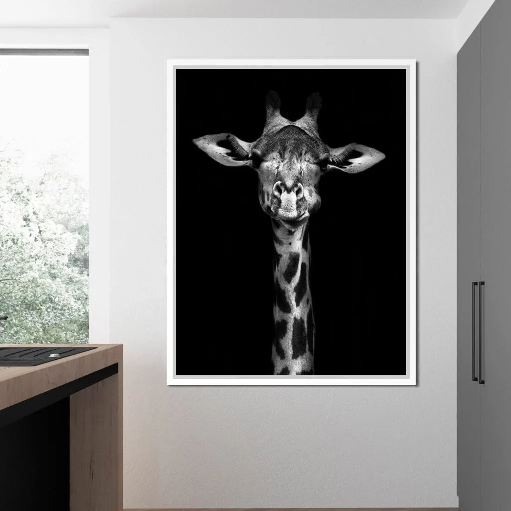 Black and White Giraffe