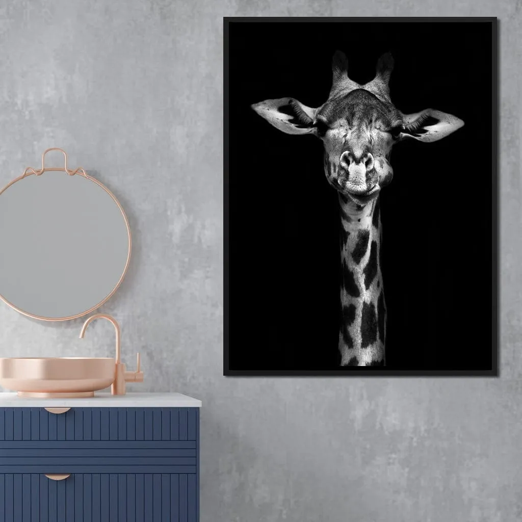 Black and White Giraffe