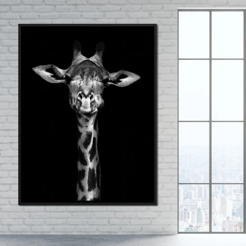 Black and White Giraffe