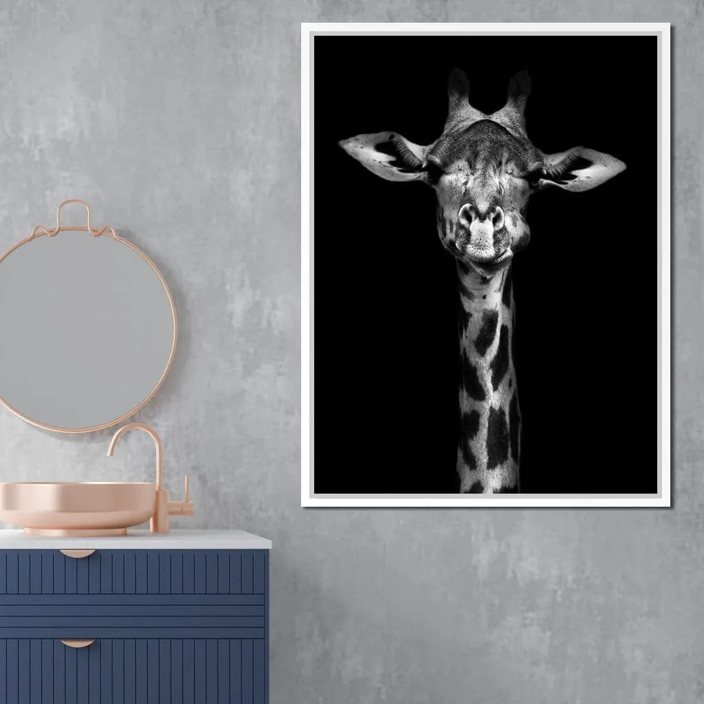 Black and White Giraffe