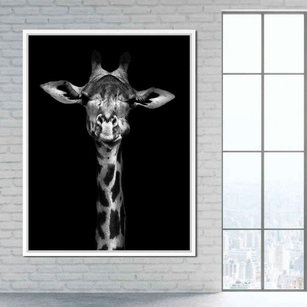 Black and White Giraffe