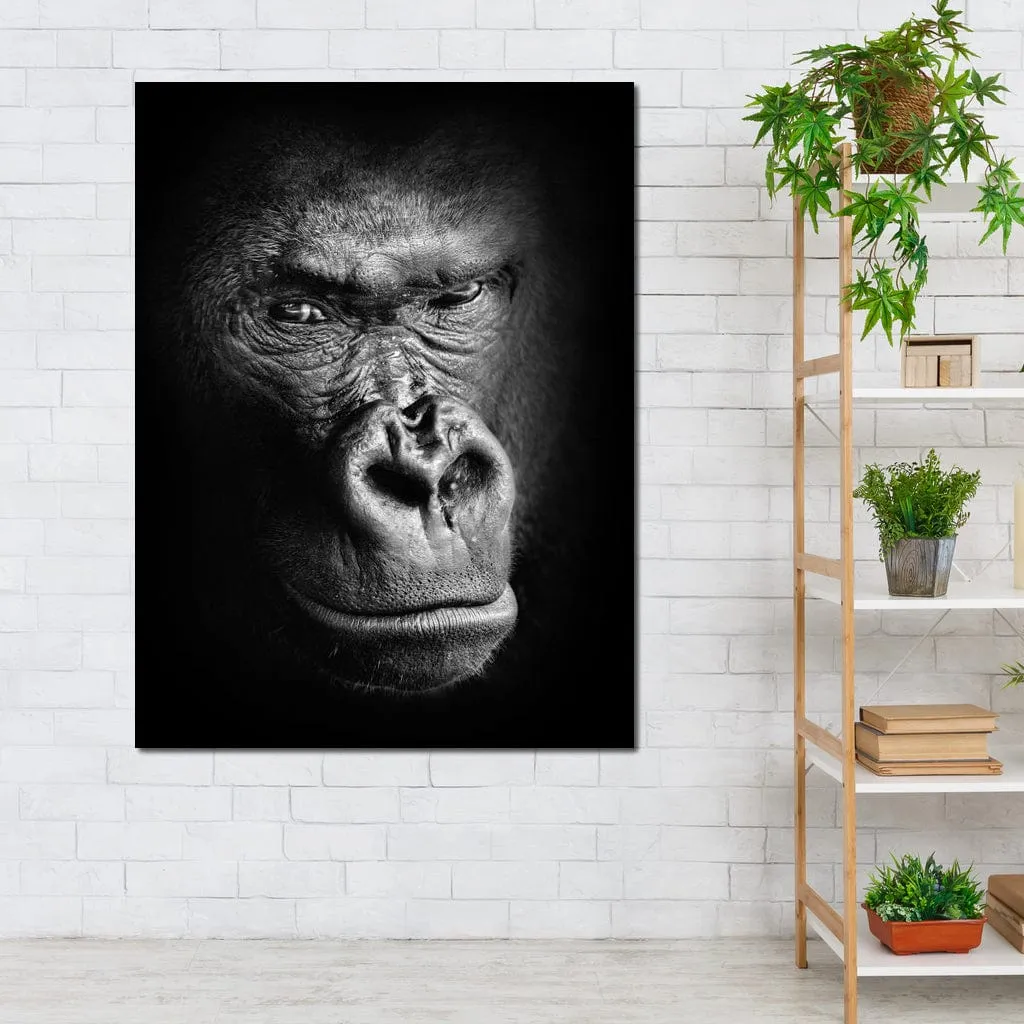 Black and White Gorilla