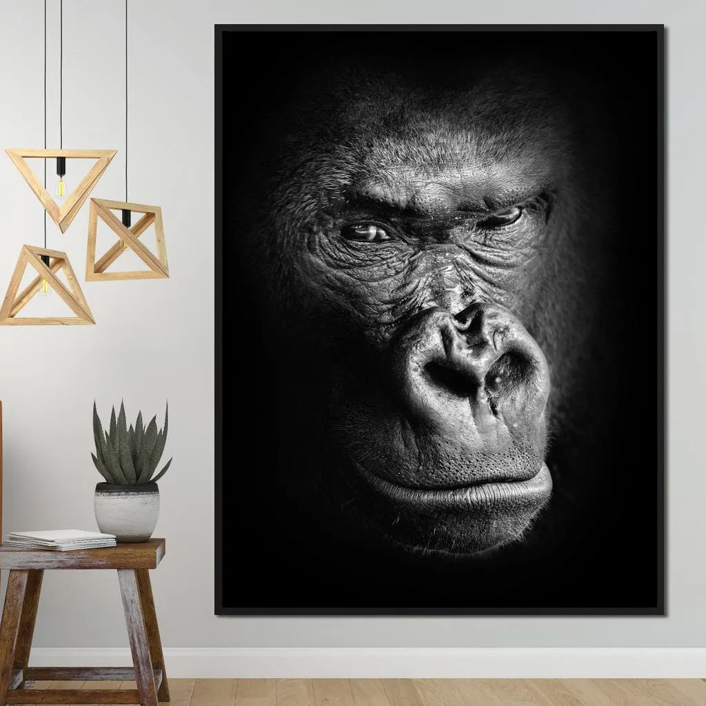 Black and White Gorilla