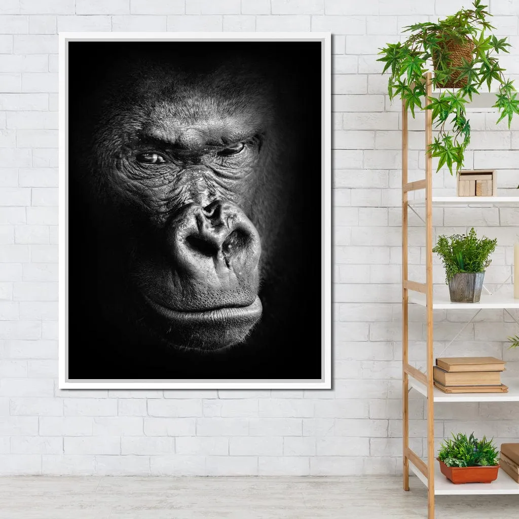 Black and White Gorilla