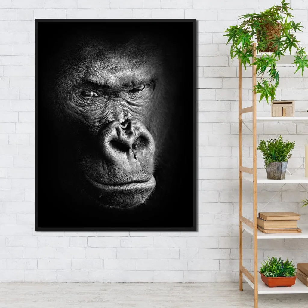 Black and White Gorilla