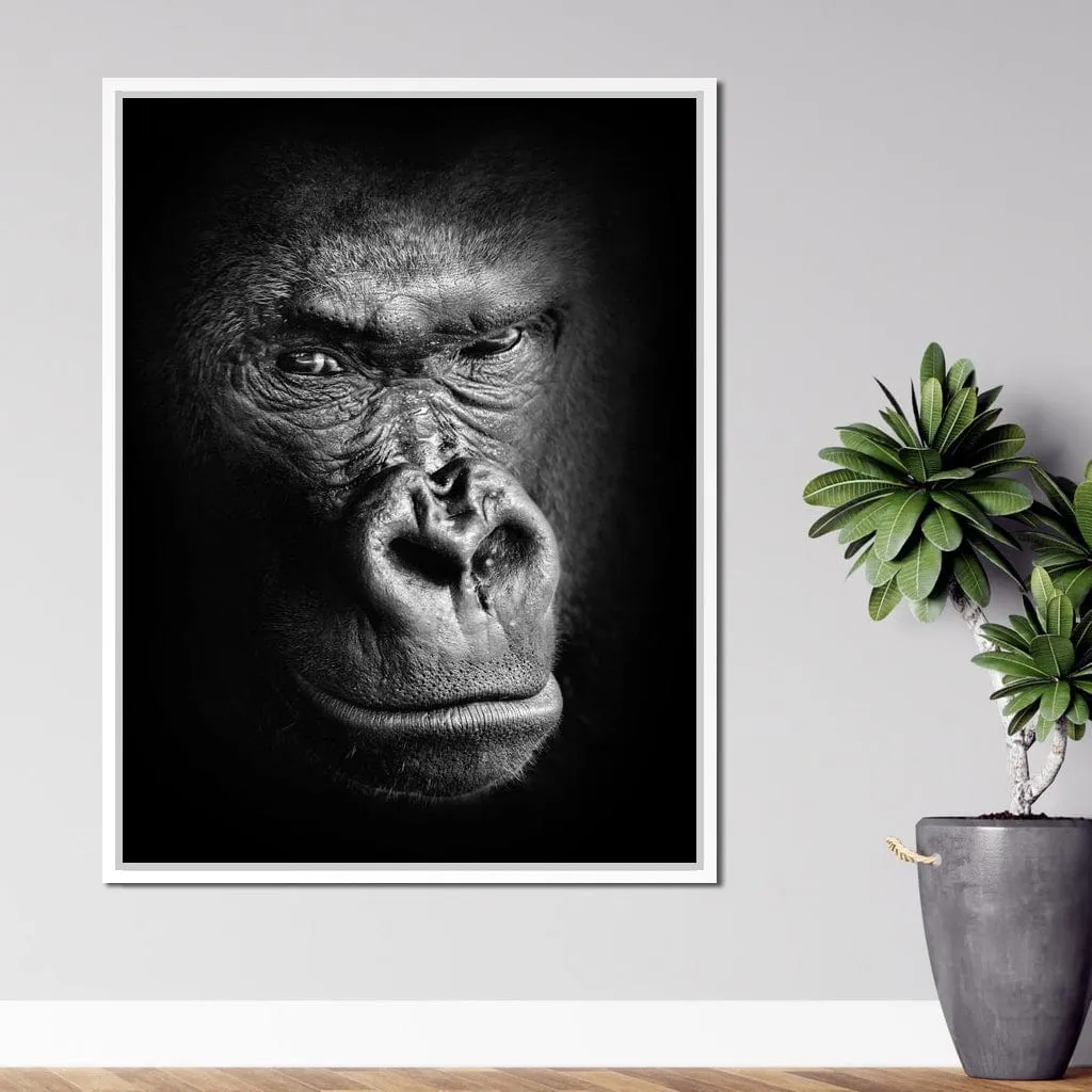 Black and White Gorilla