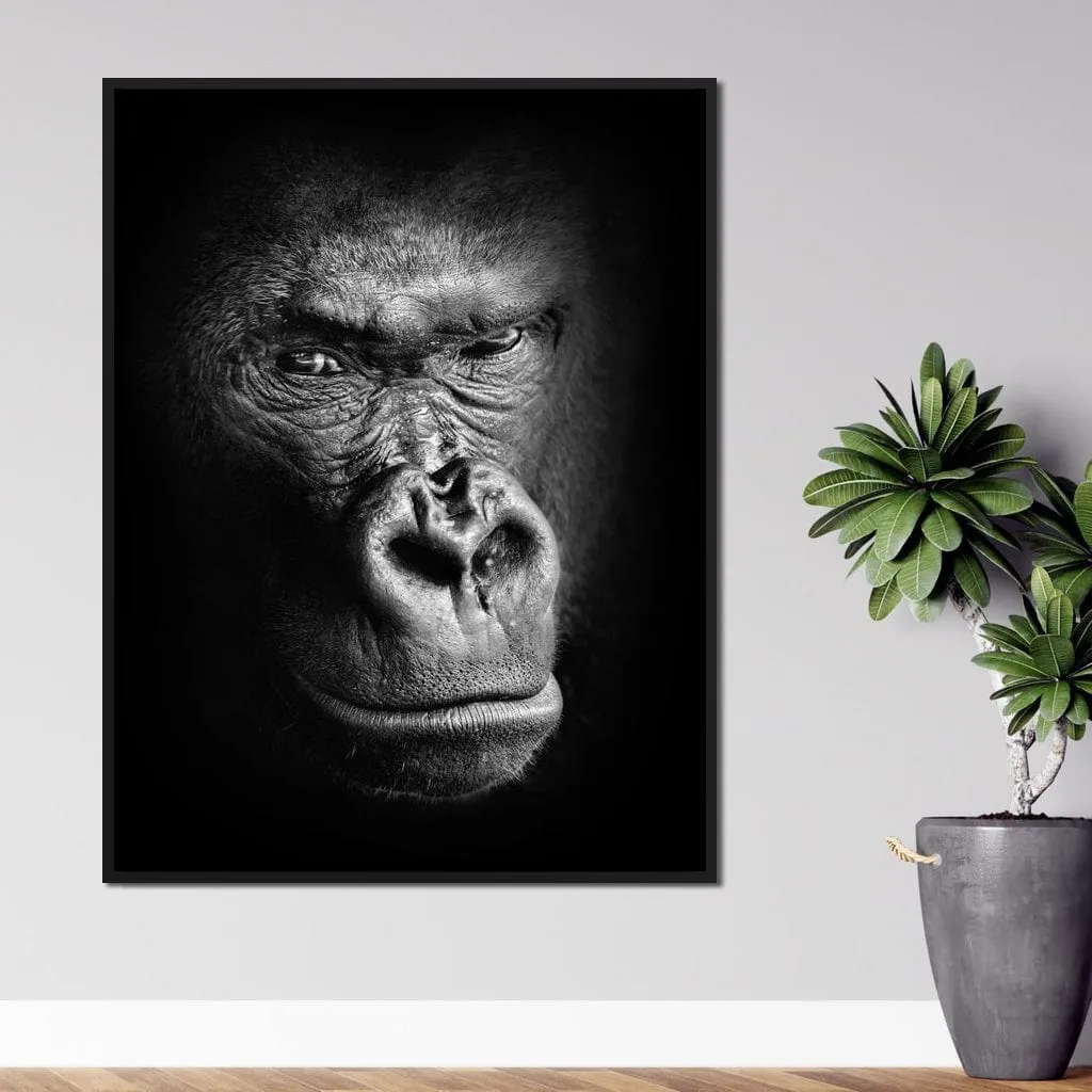 Black and White Gorilla