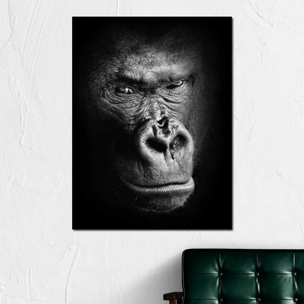 Black and White Gorilla