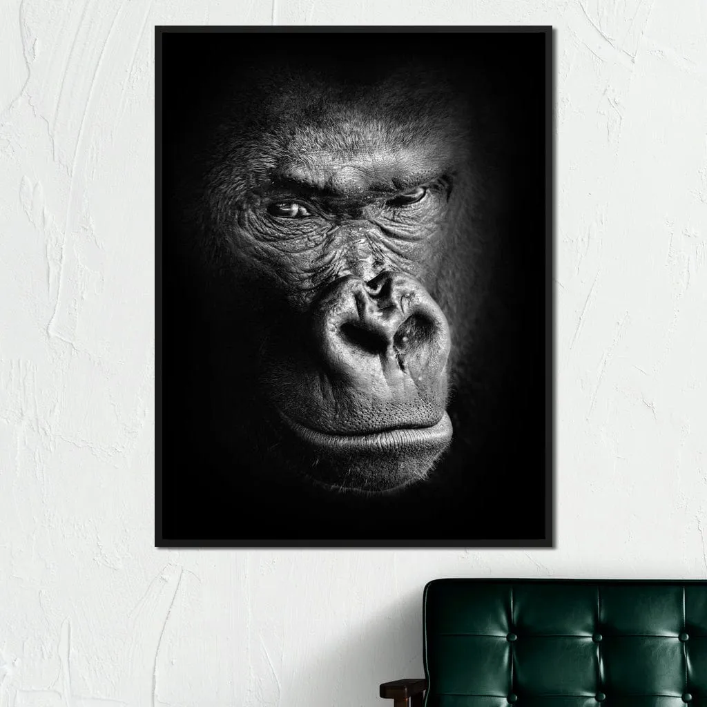 Black and White Gorilla