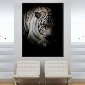 Black and White Tiger