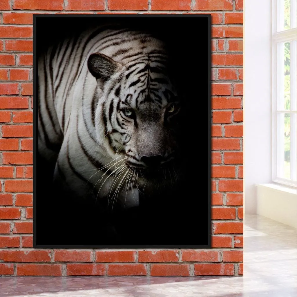 Black and White Tiger