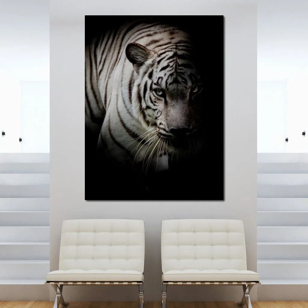 Black and White Tiger