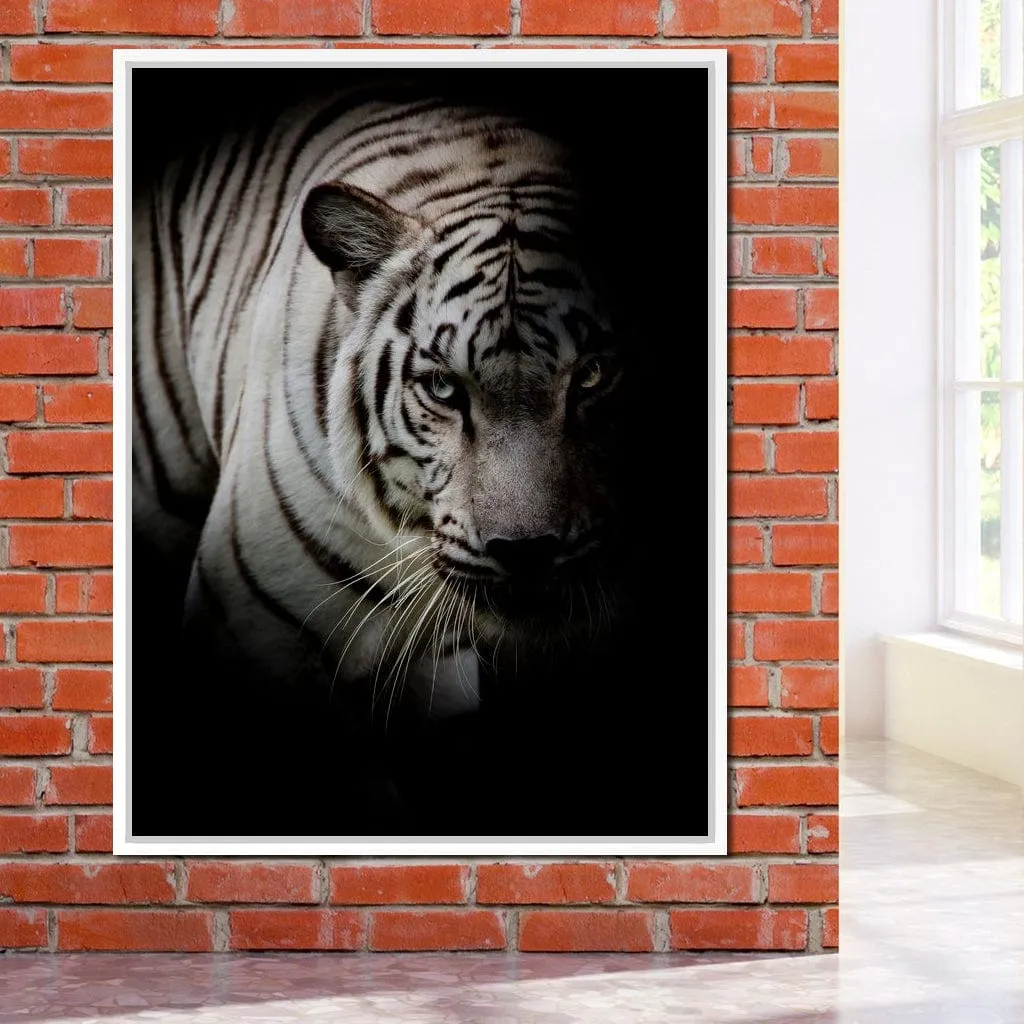 Black and White Tiger