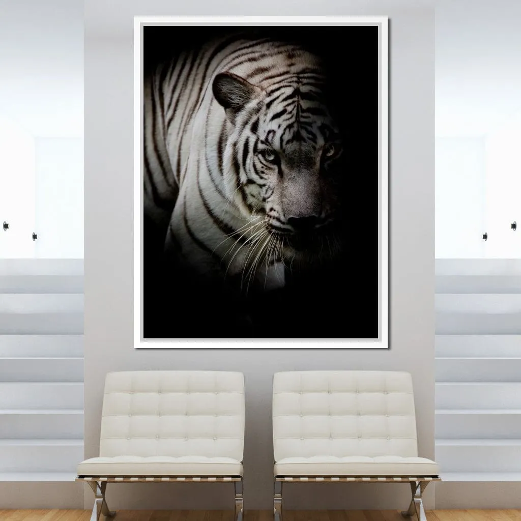 Black and White Tiger