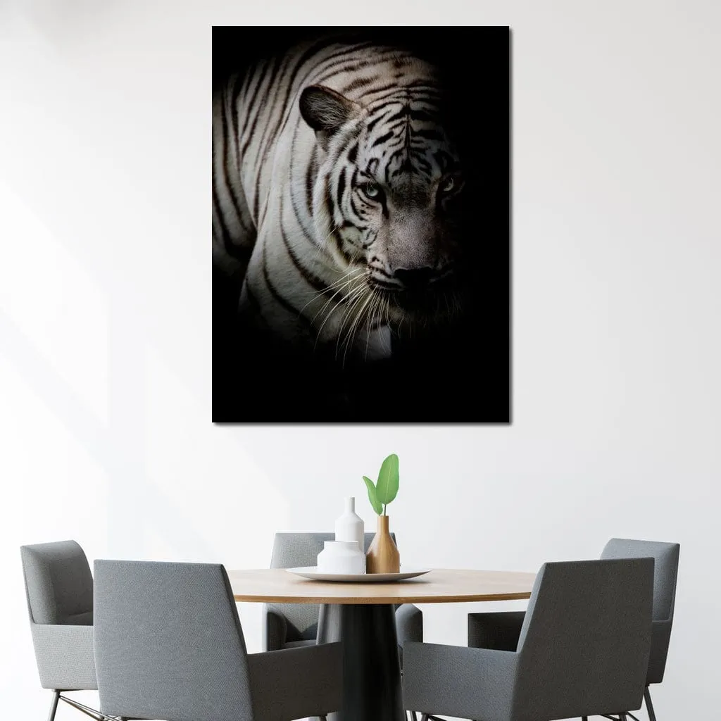 Black and White Tiger