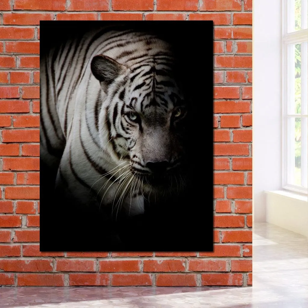 Black and White Tiger