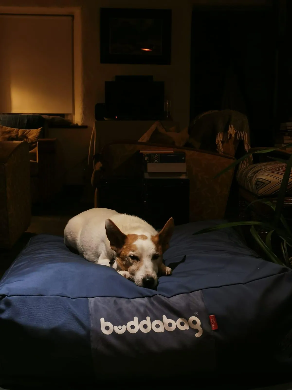 Buddabag Snuggle Memory Foam Bean Bag - Choice of Size