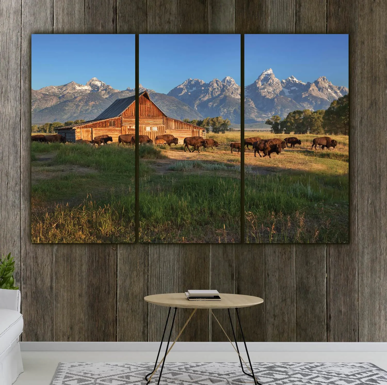 Buffalo at Grand Teton National Park