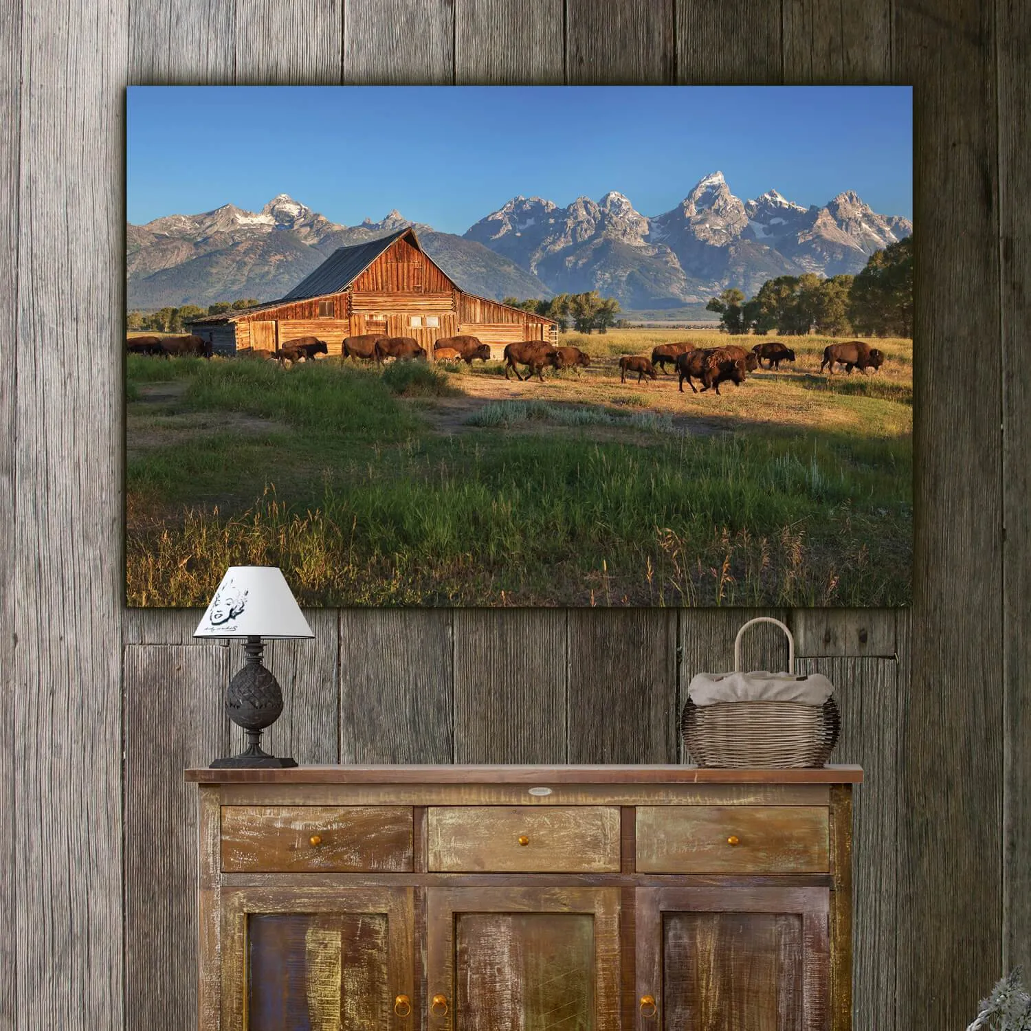 Buffalo at Grand Teton National Park