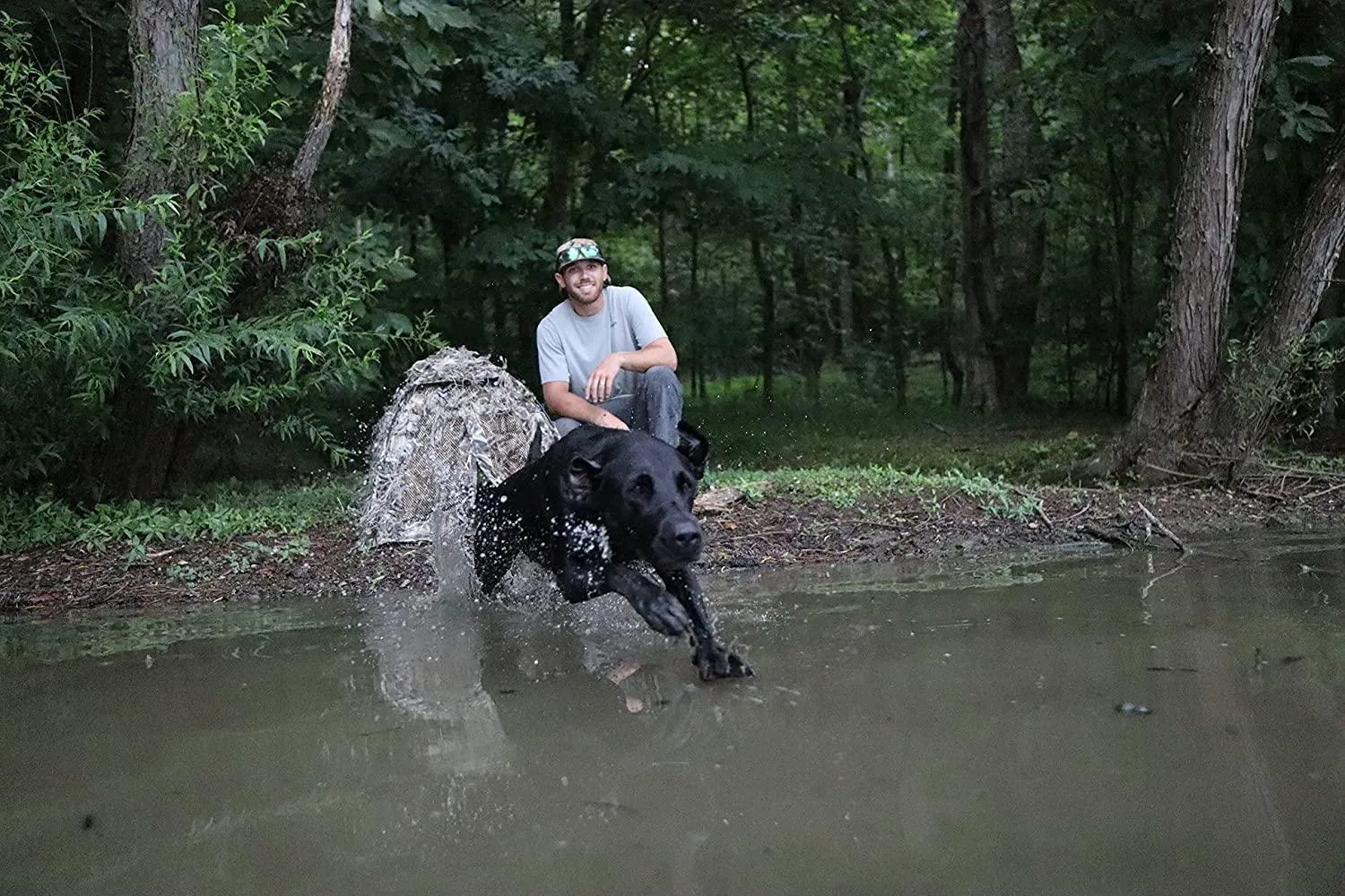 Easy Pop-Up Dog Blind