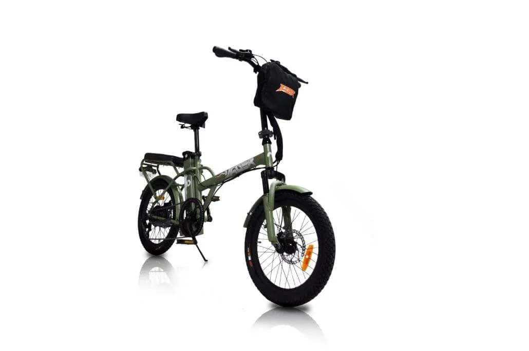 GreenBike Jager Dune 350W 36V 2 Seater Electric Bike