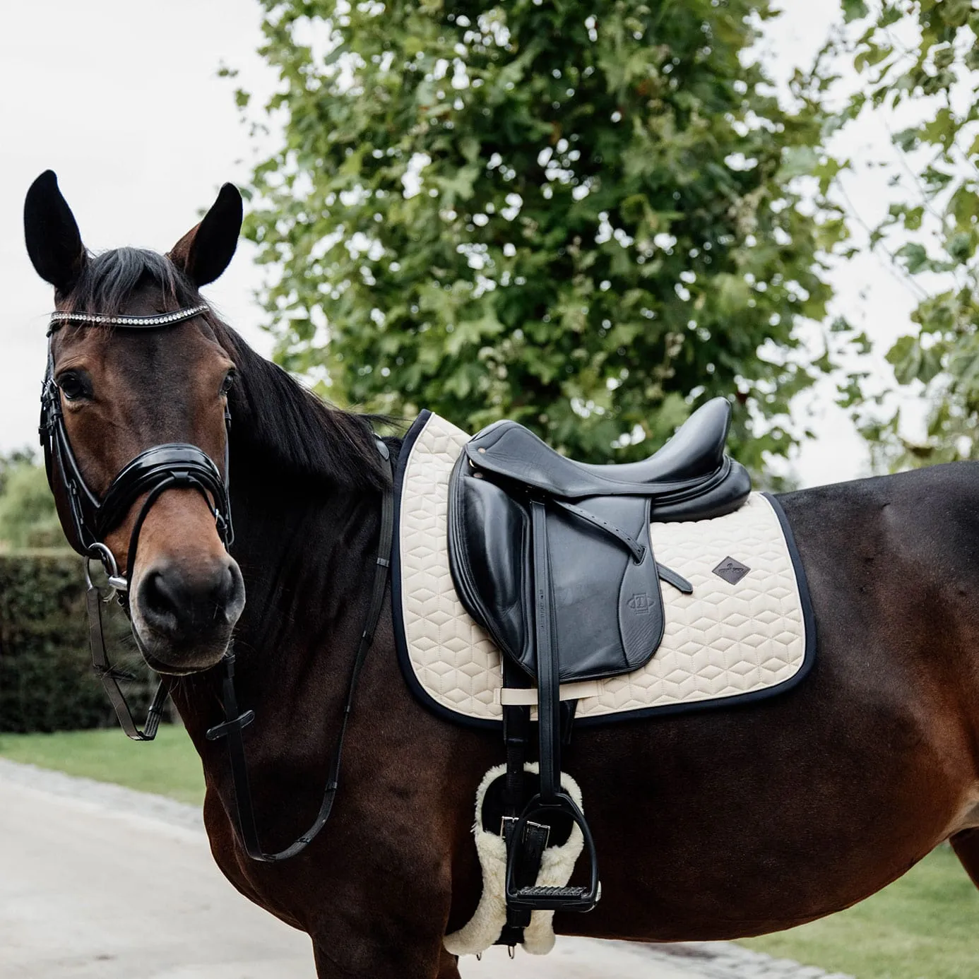 Kentucky Horsewear Softshell Dressage Saddle Cloth - Beige