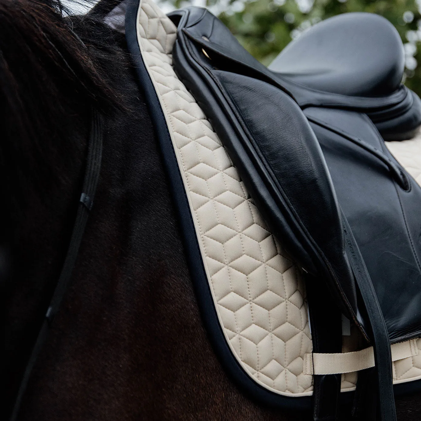 Kentucky Horsewear Softshell Dressage Saddle Cloth - Beige