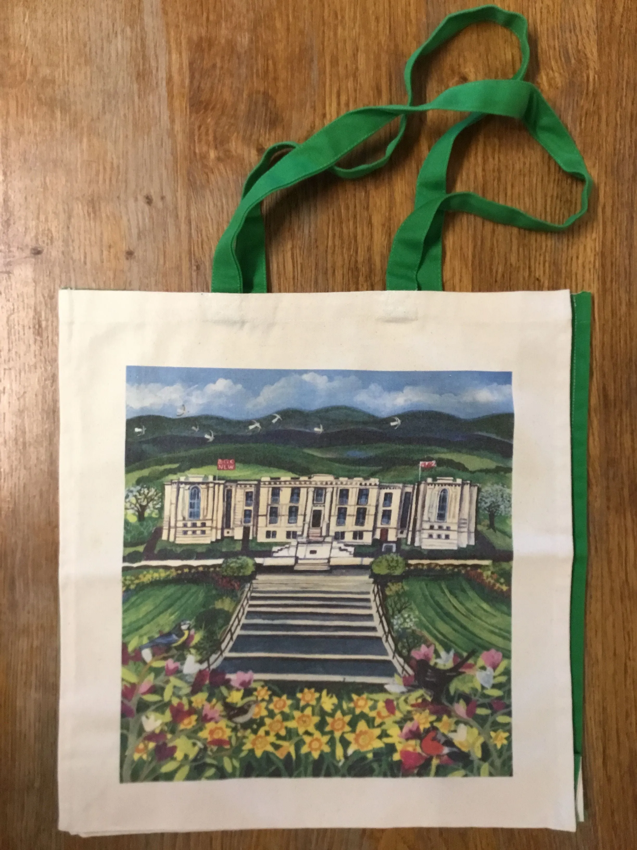 'National Library/Llyfrgell' bag by Lizzie Spikes