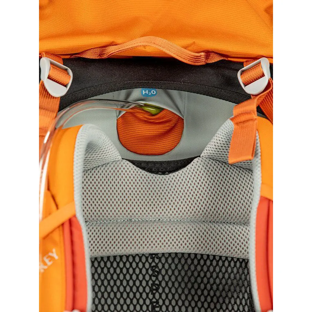 Osprey Ace 50 - Kid's Hiking Backpack