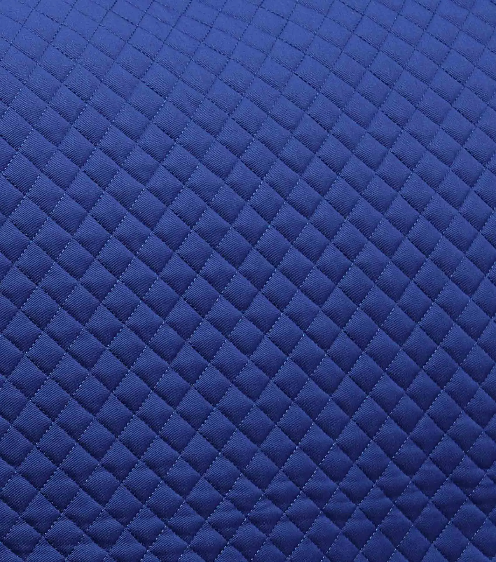 Pony Plain Cotton Dressage Square Royal Blue