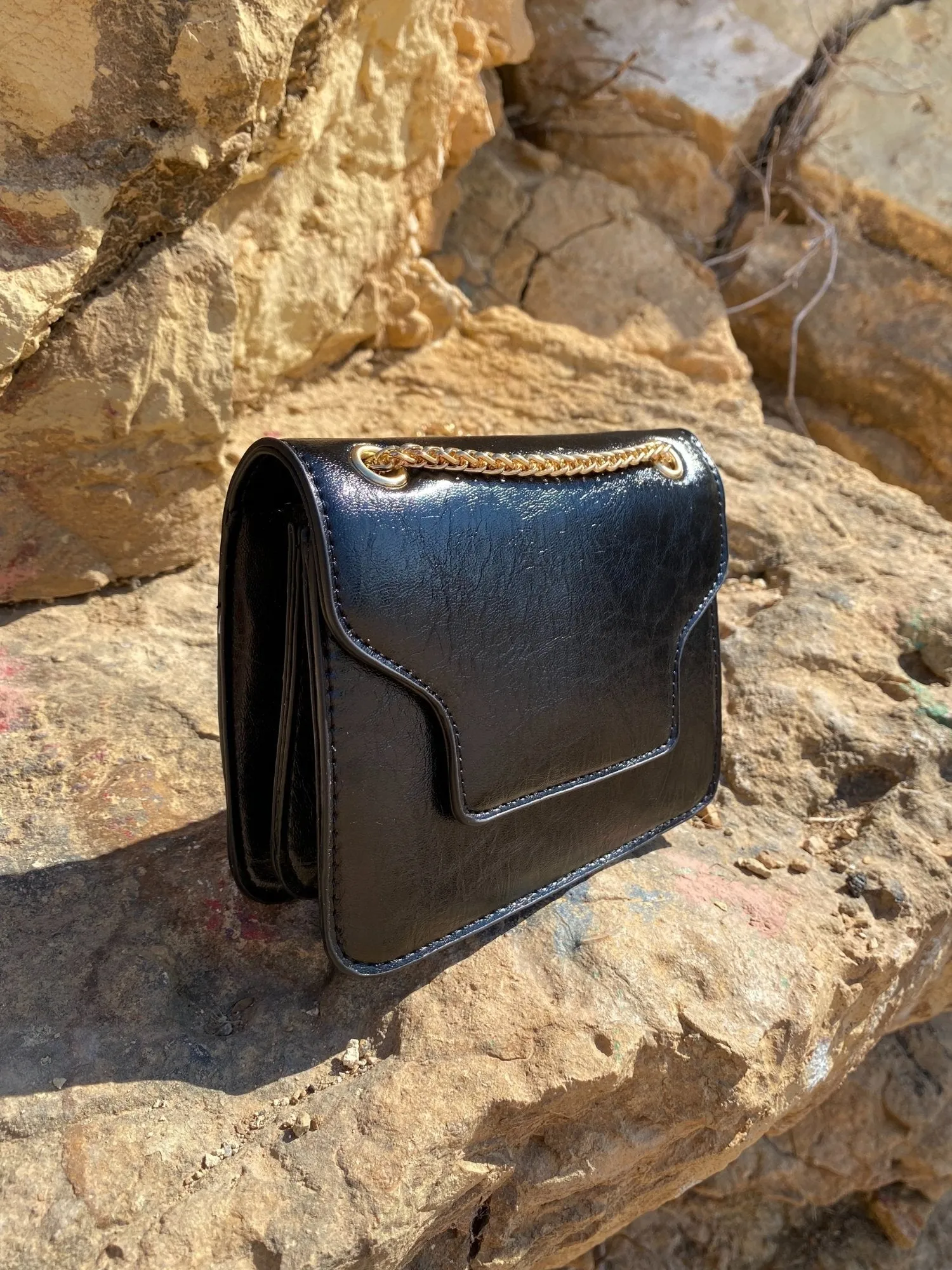 Shoulder Mini Bag