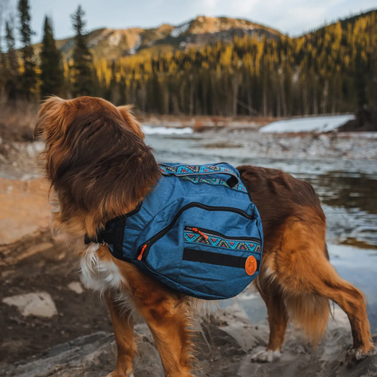 Wilderdog Dog Backpack